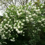 Willkommen in unserem Gartenparadies