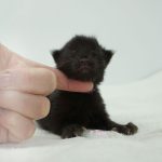 Black Shadow x Good Girl Black Shadow x Good Girl